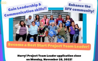 Project Team Leader Applications // Aplicación de Líder de Equipo de Proyecto